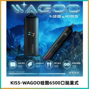 KIS5WAGOO哇酷6500口拋棄式 | 自由混搭雙口味 | 雙芯組合